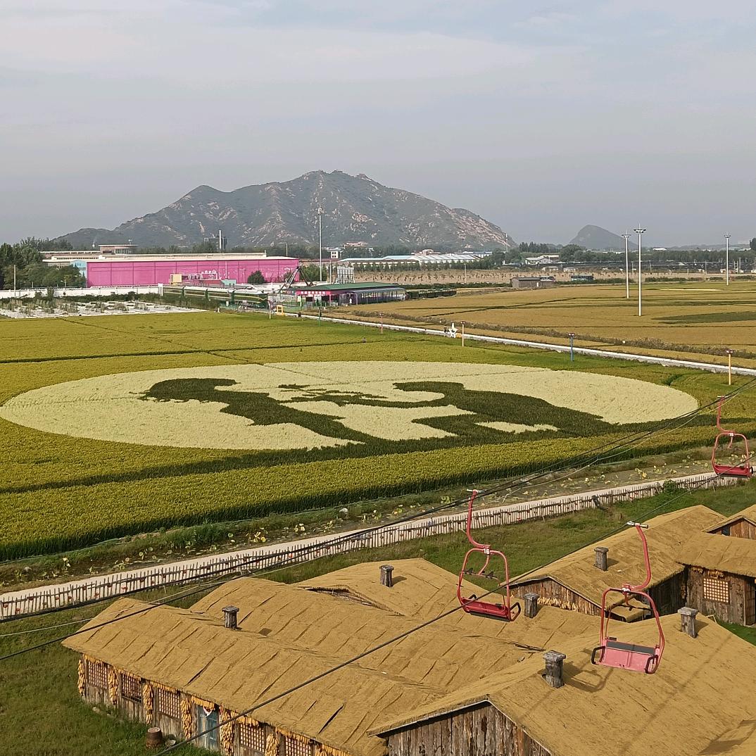 若隐若现的小温柔