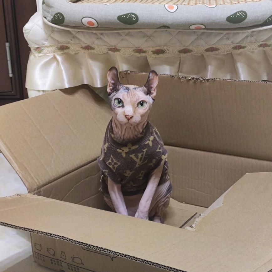莱宝 😺
