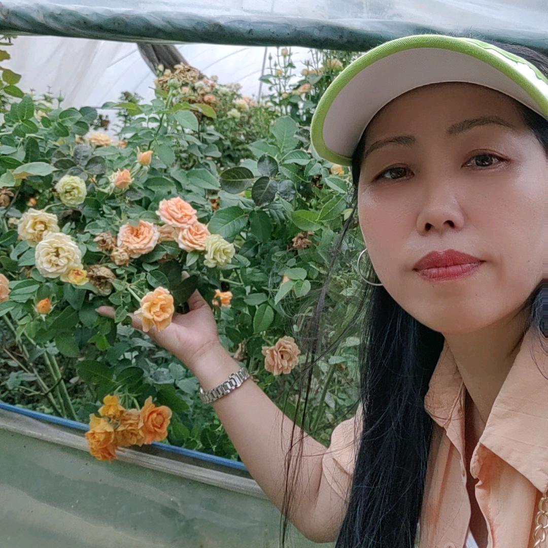 姐的温柔你不懂