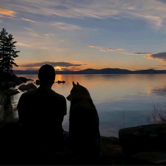 💔ꦿ໊梦恋᭄🕊紫冰雪᭄ꦿᩚ*: ꧁