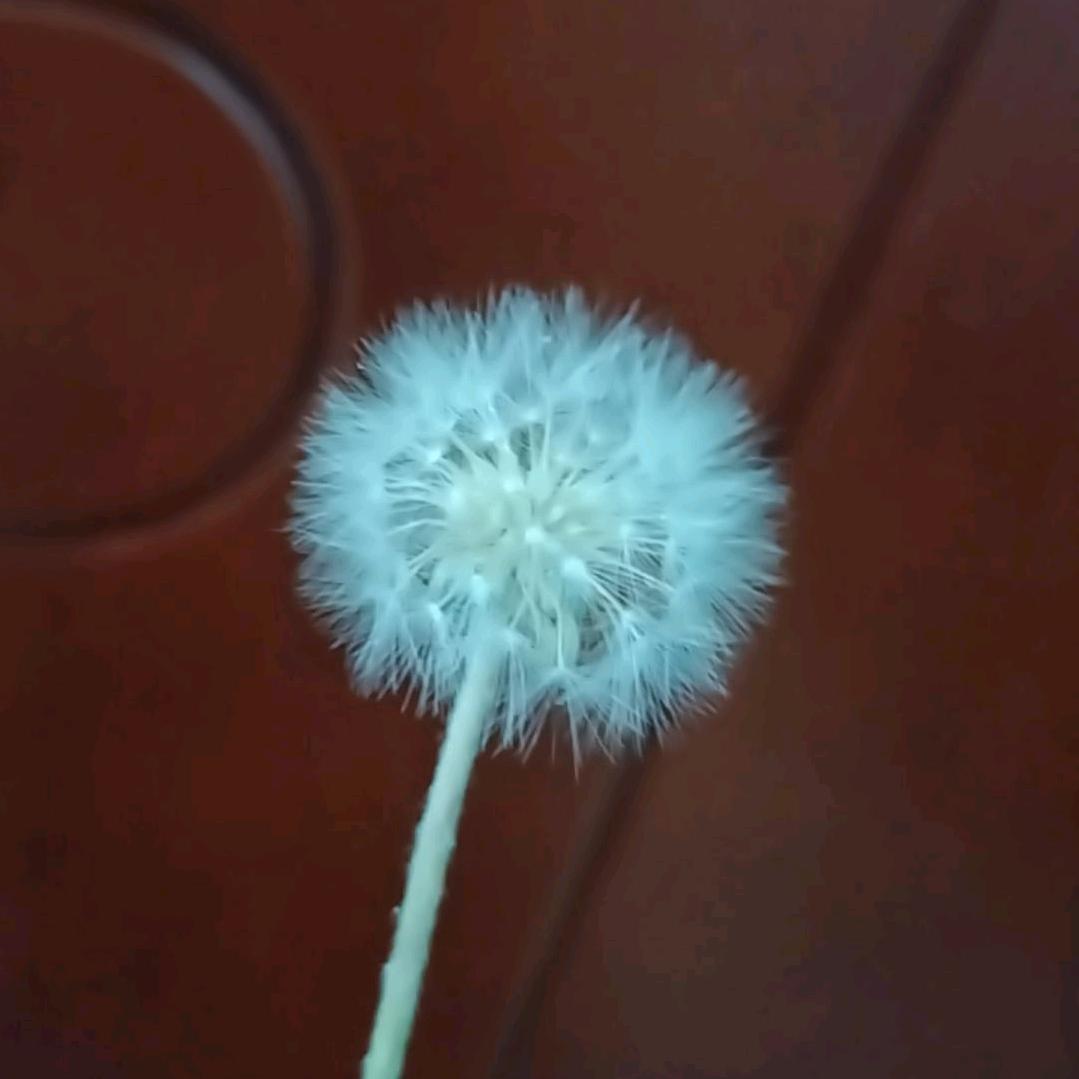 浅忆流年