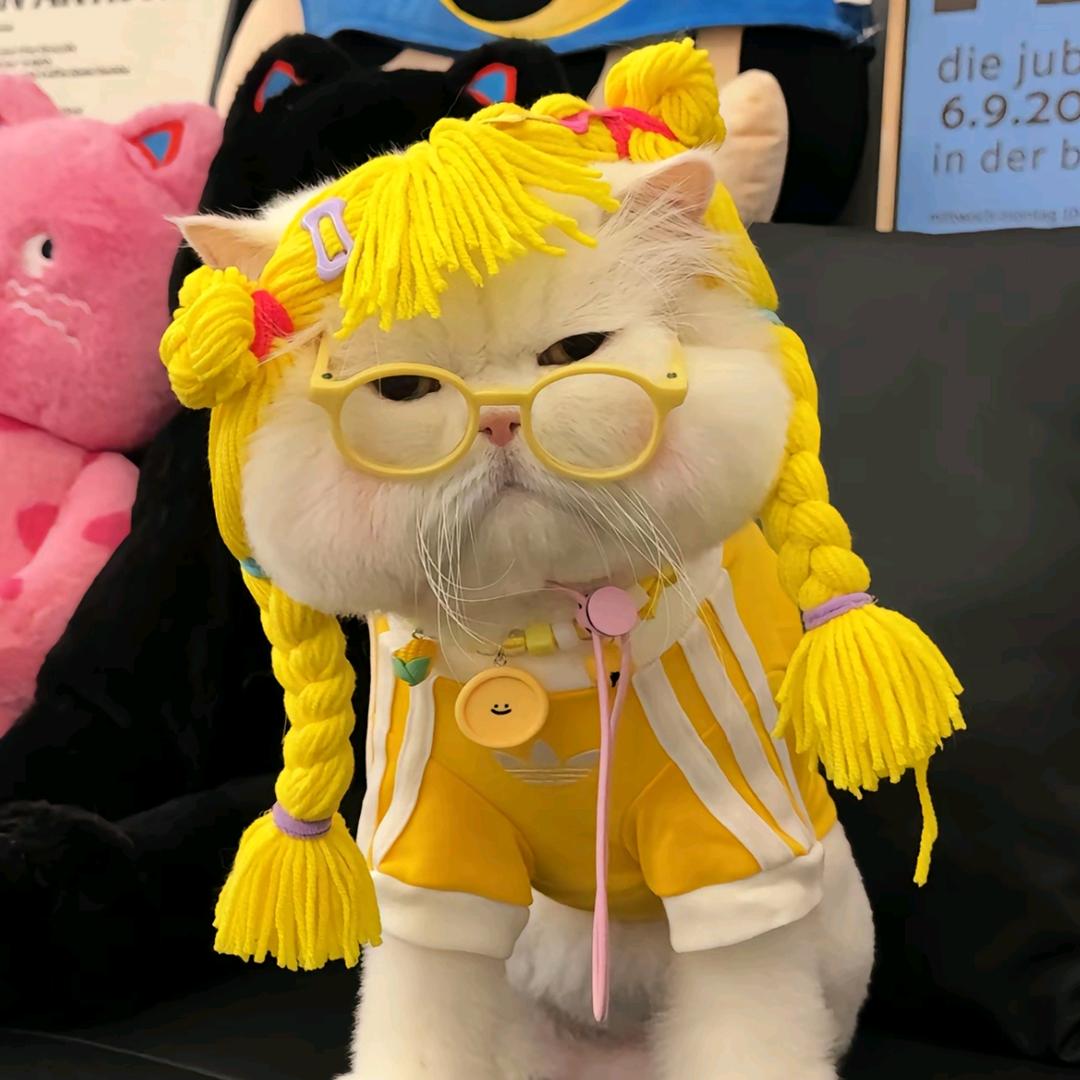 oneone头像