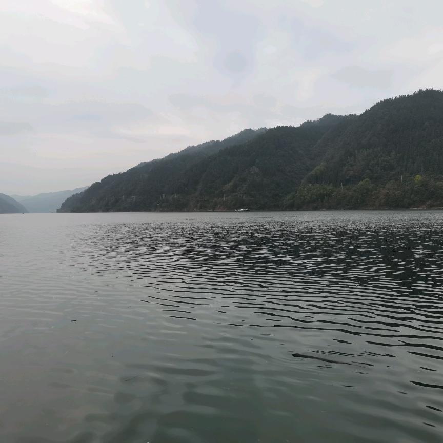 十钓九空🎣封杆进行时