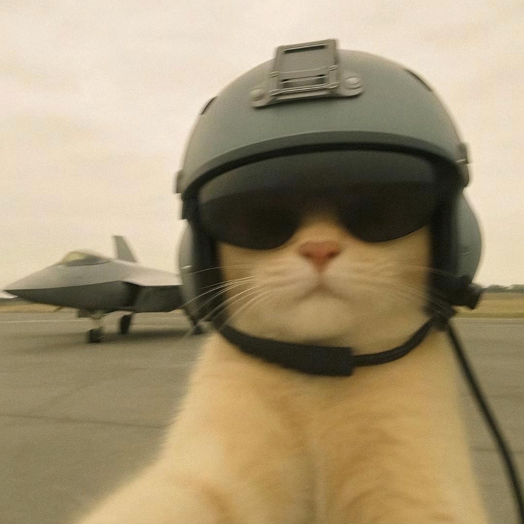 你今天几点吃饭