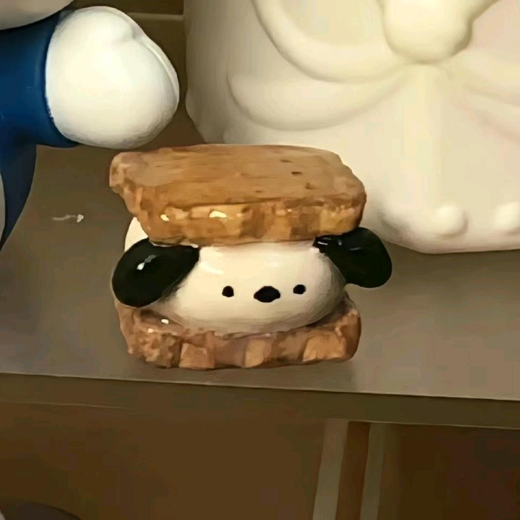洁儿z