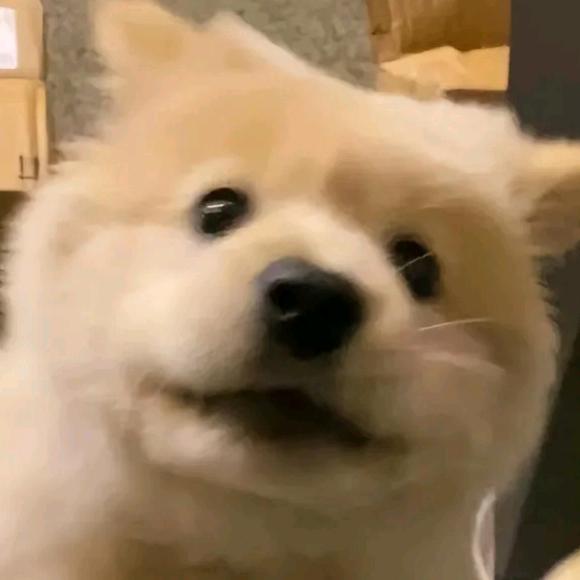 BN