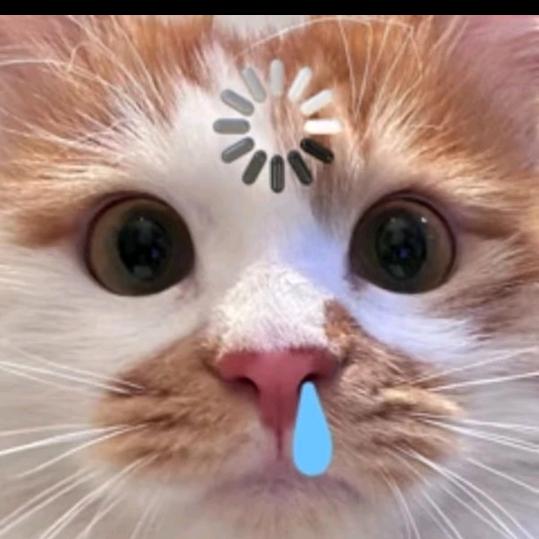 我真的想不出名字·