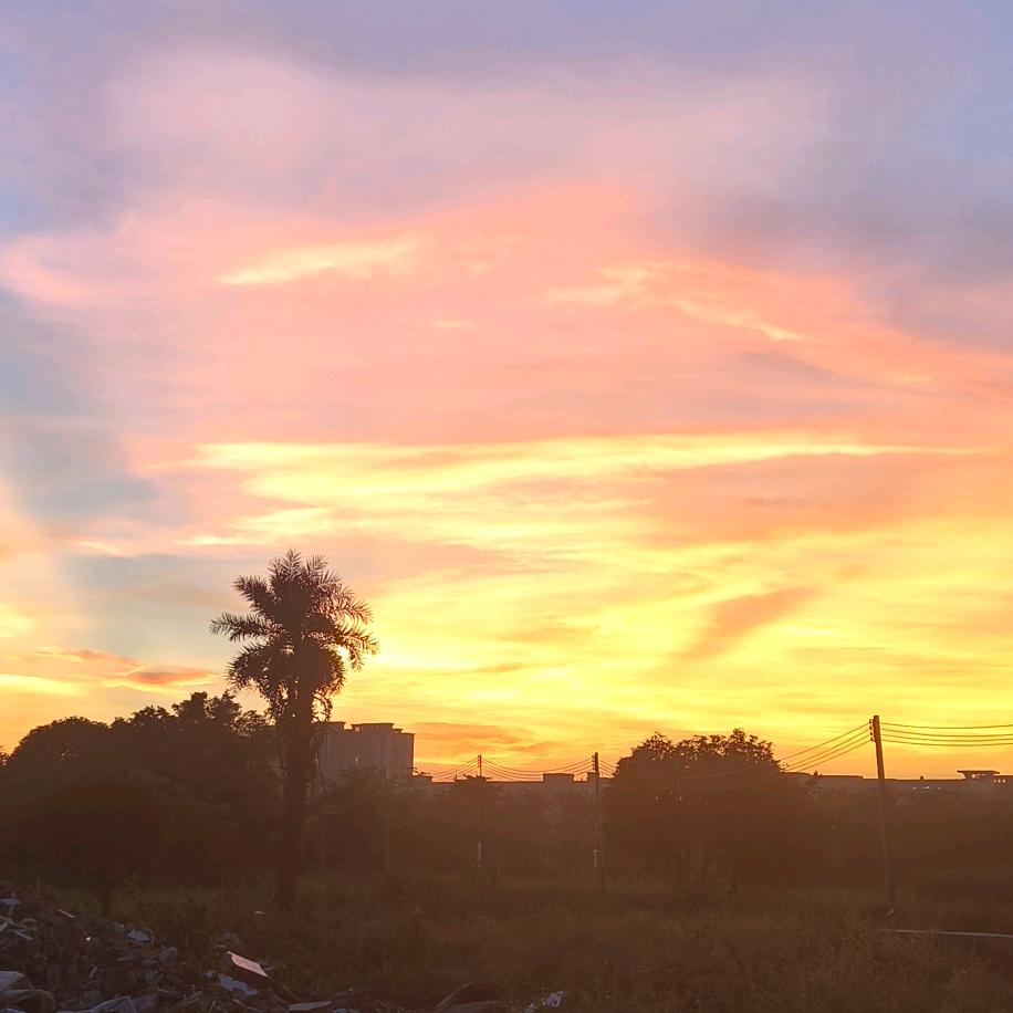 এ᭄乄ོ杺ꦿ⁵²⁰এ