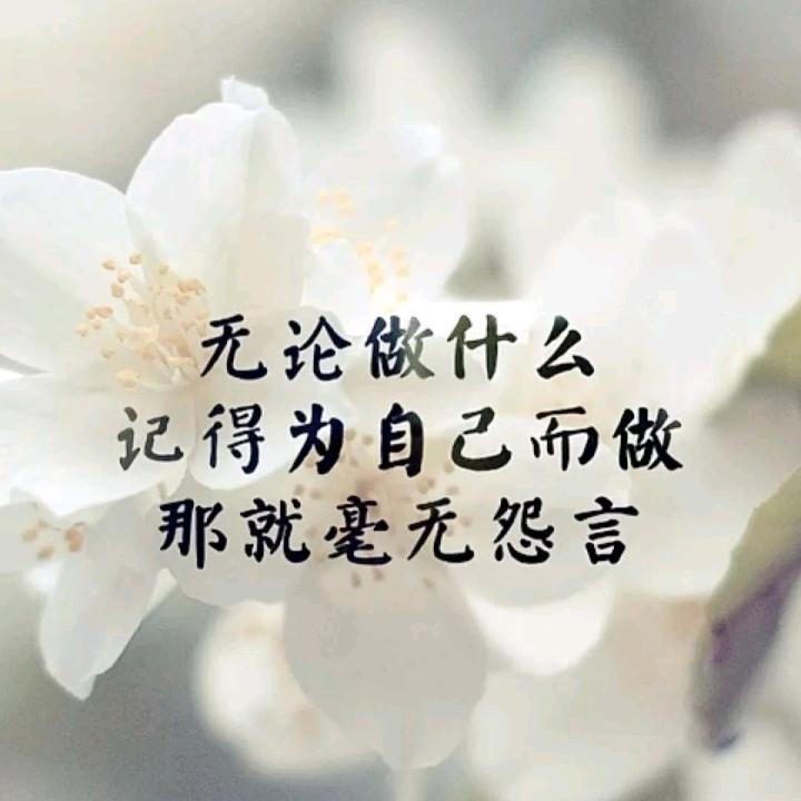 龙哥