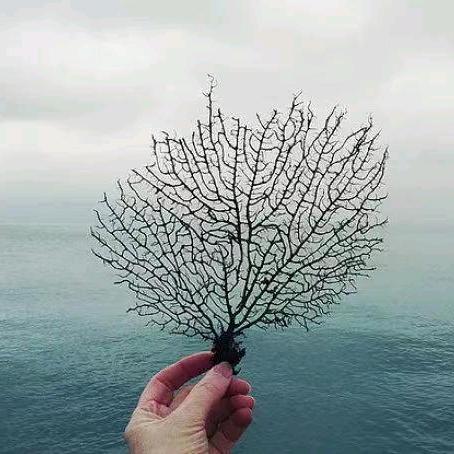 🇨🇳【未来】🇨🇳