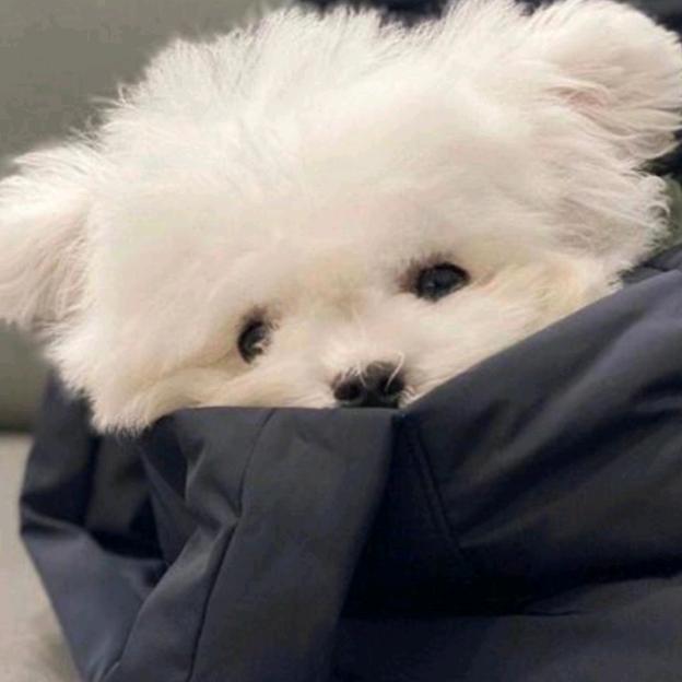 东东电竟考官557