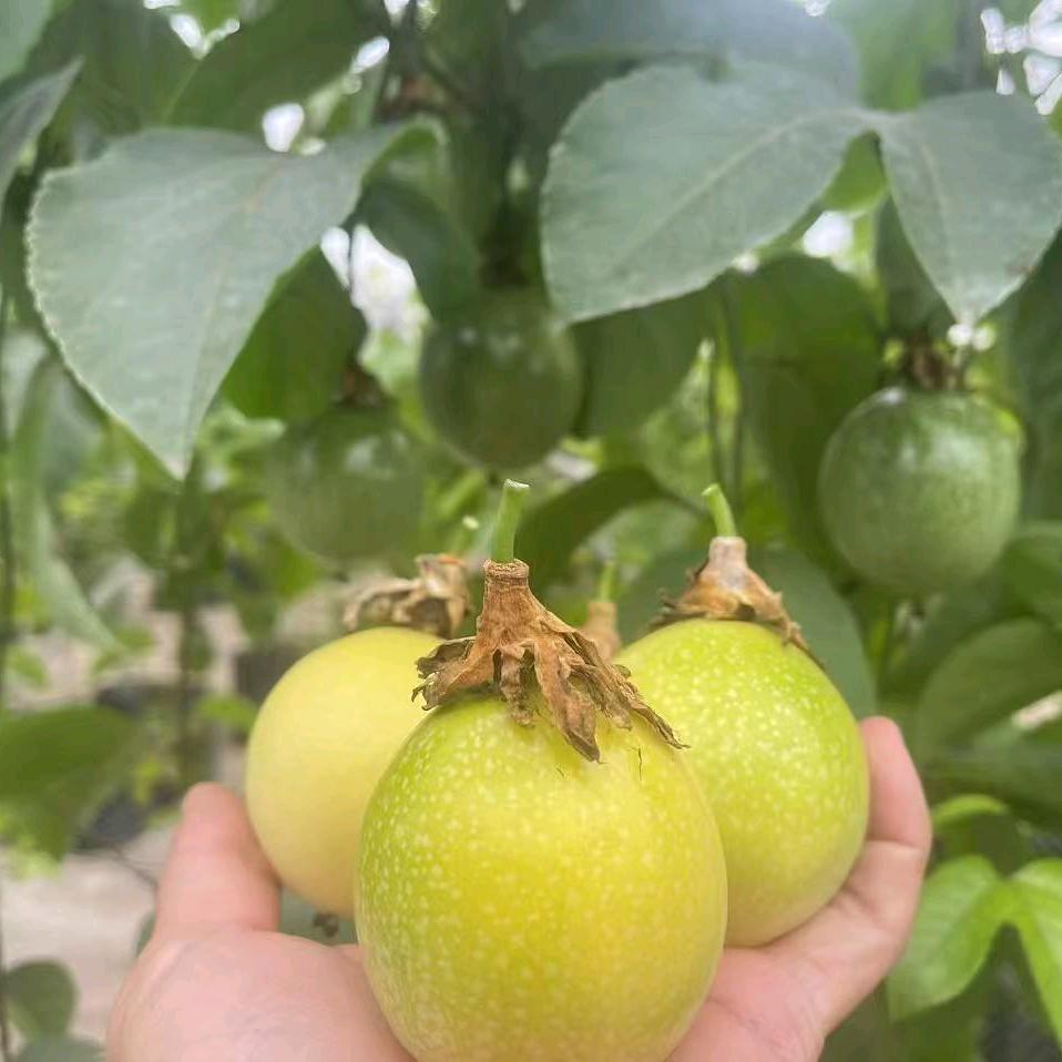 润丰源生鲜
