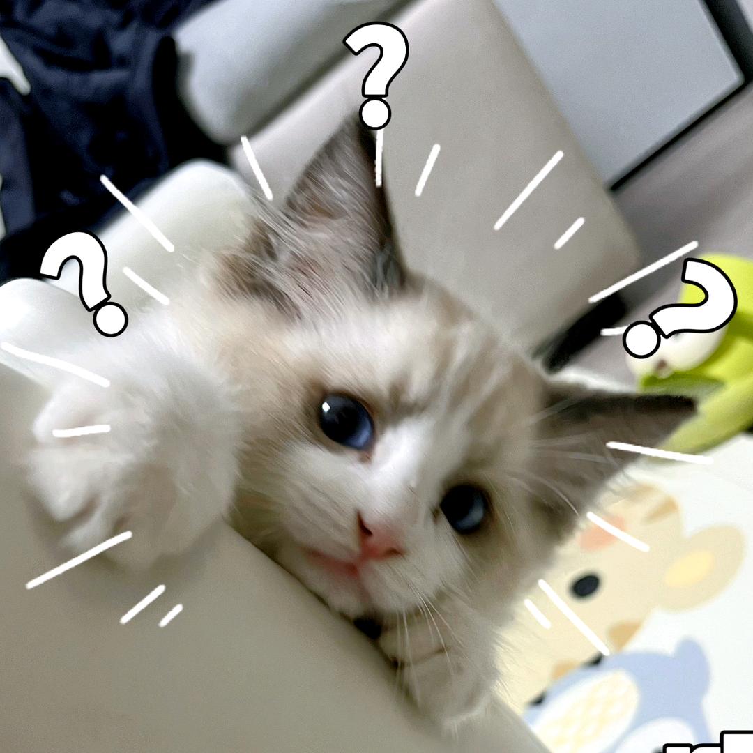 二十