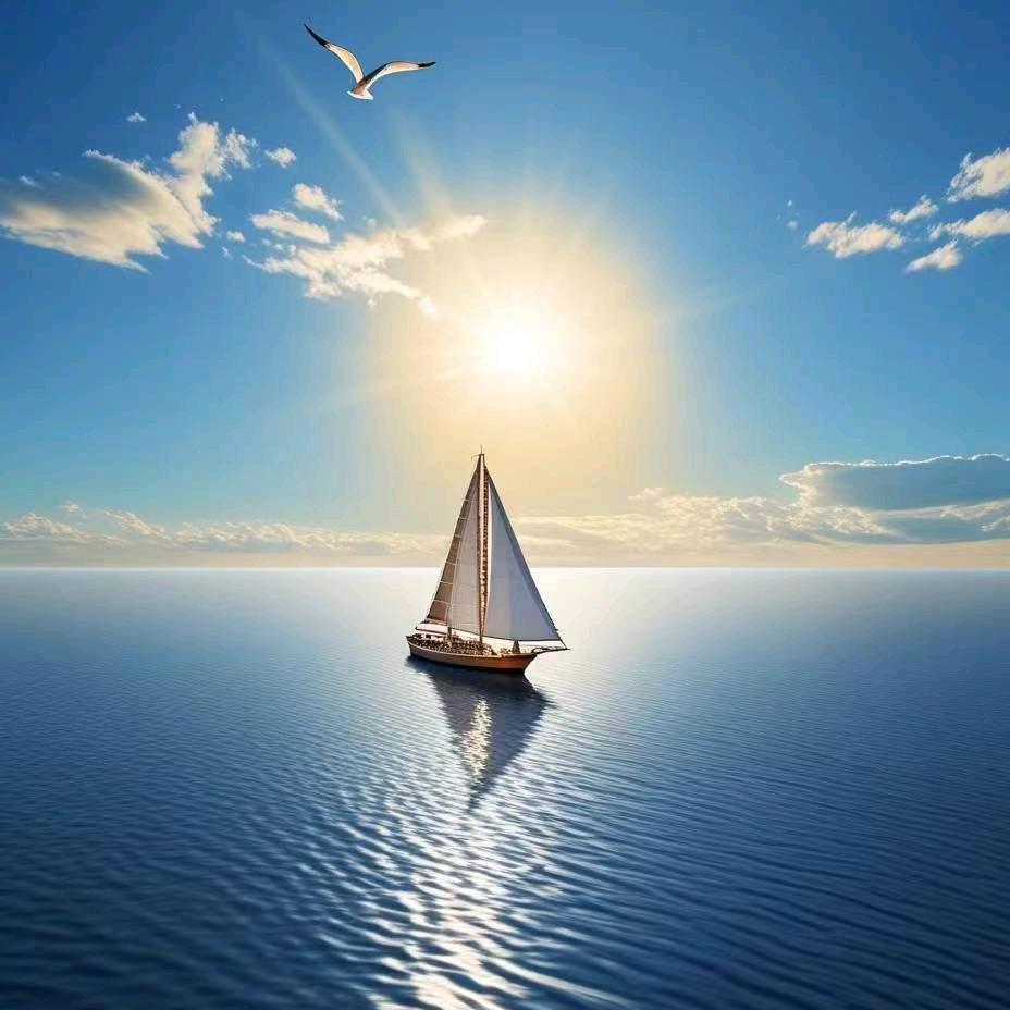 足下商贸的头像