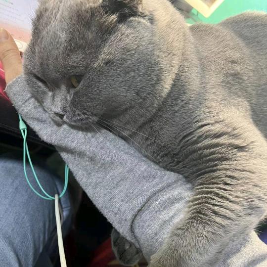 姐의魚塘少個伱