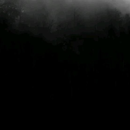 王二