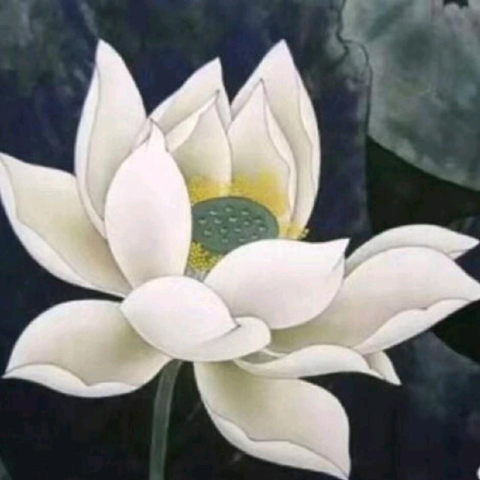 正遍知
