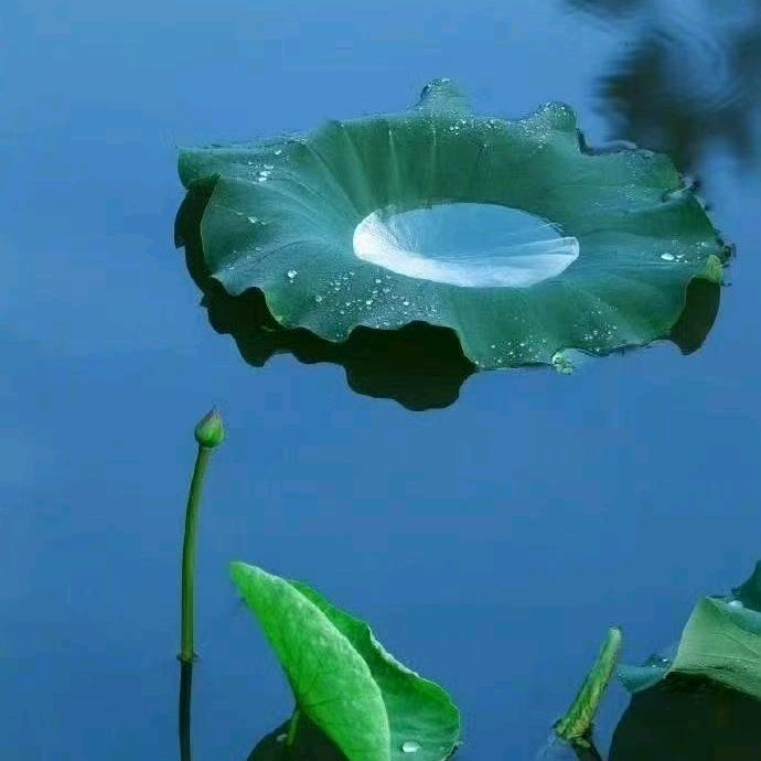 知意