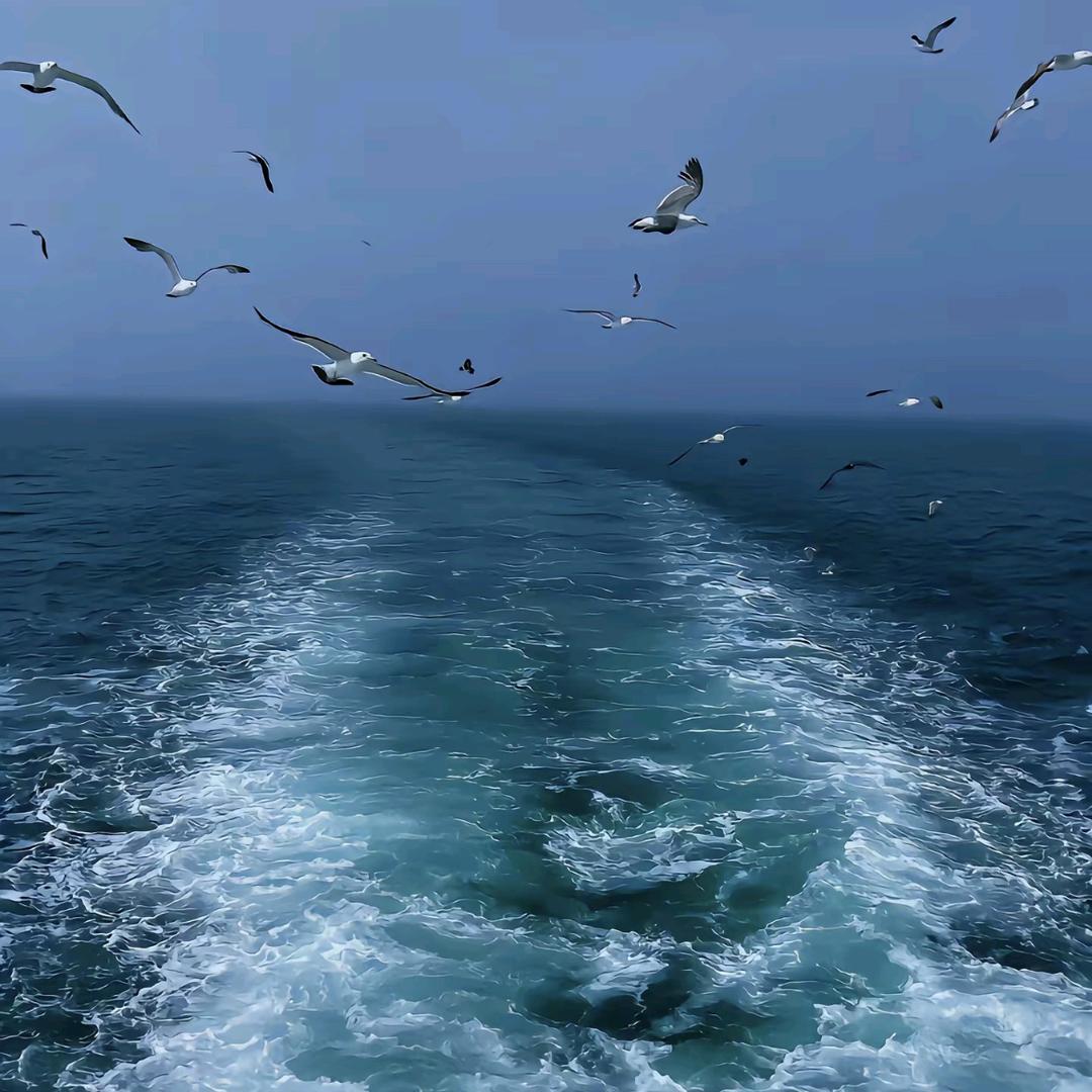 无限海岸