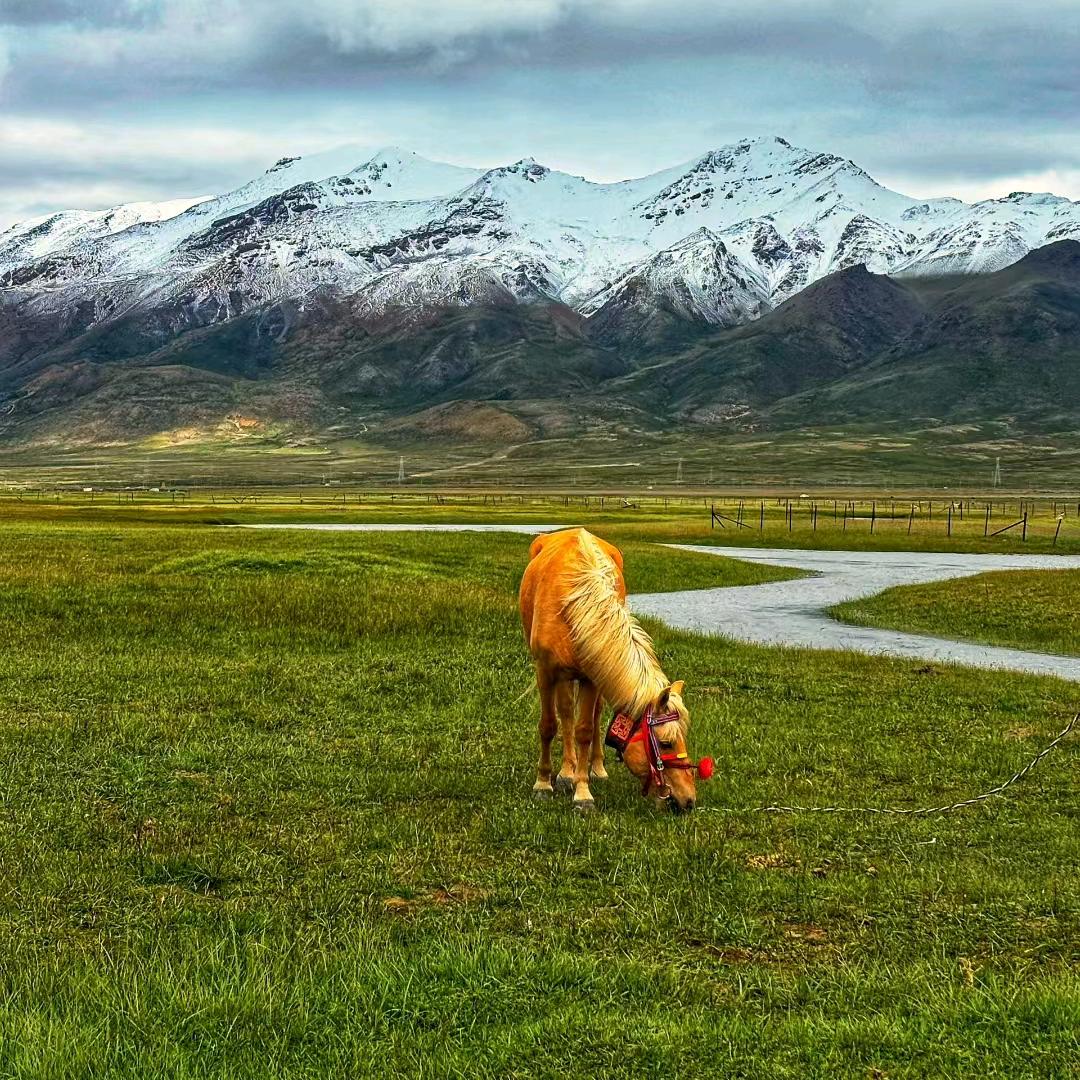 侯旭 北京指南针