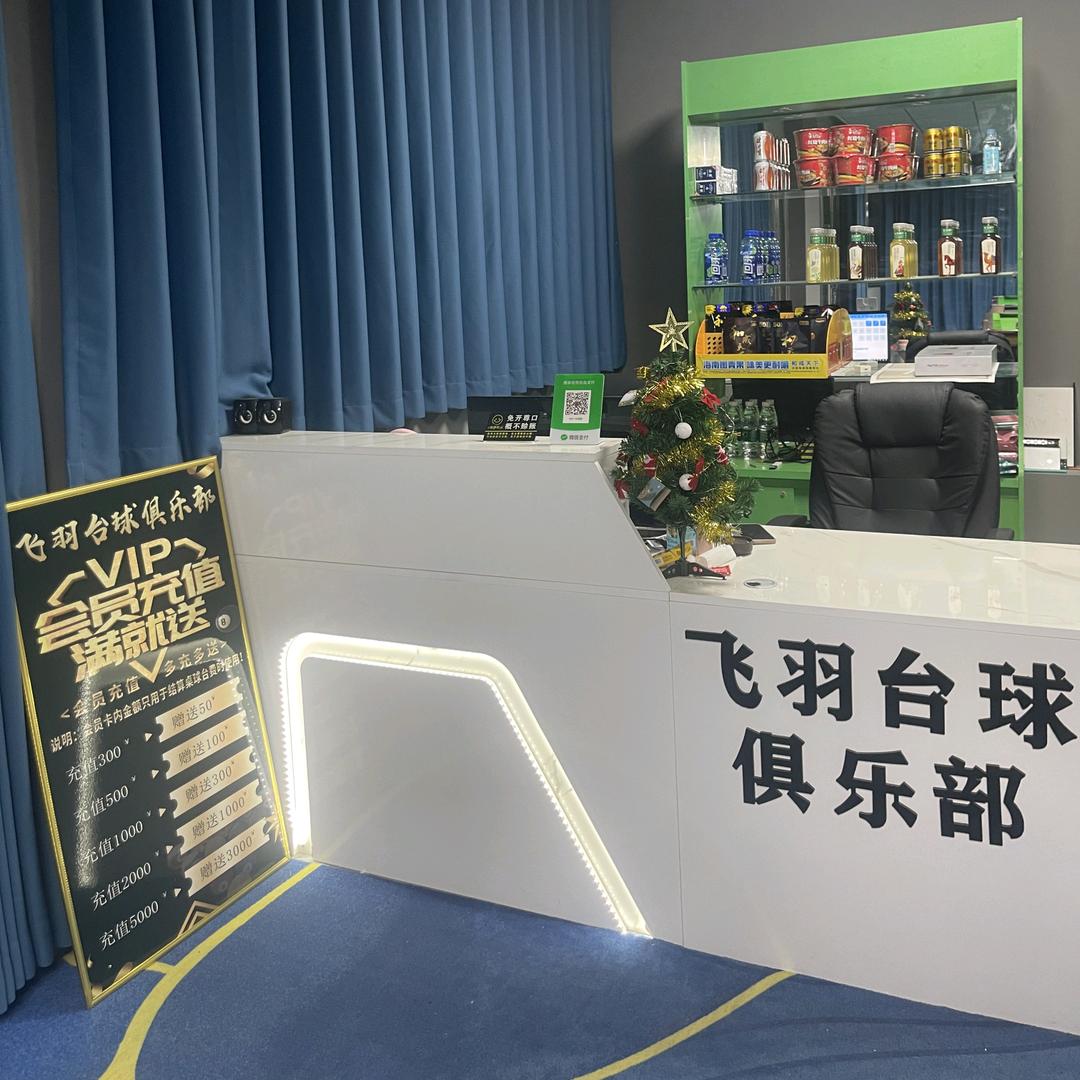 飞羽台球俱乐部