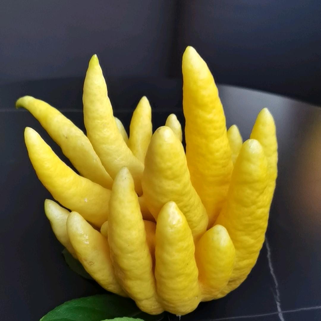蒋哓崬