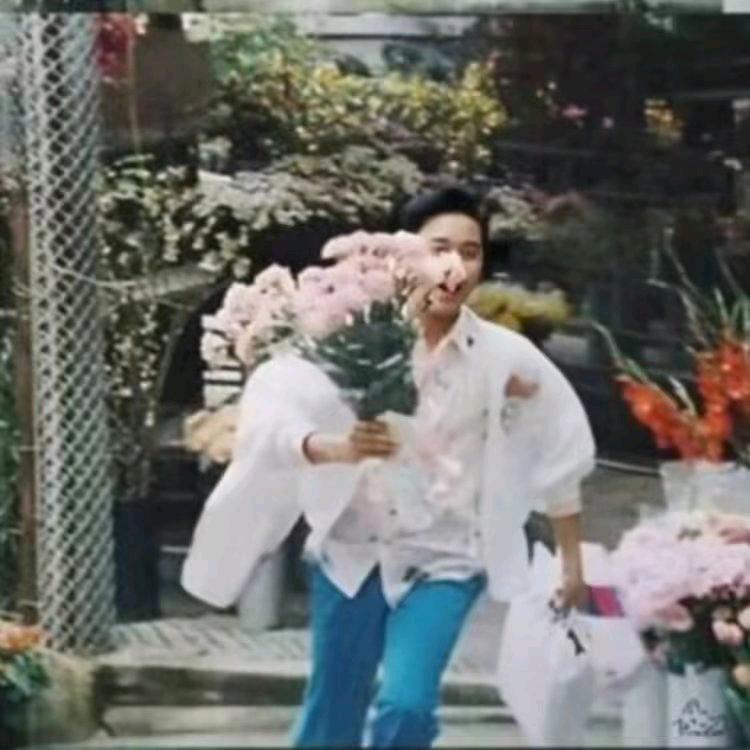 布