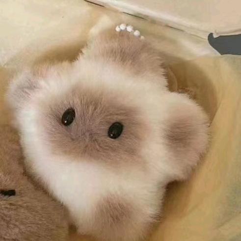 是阿森阿