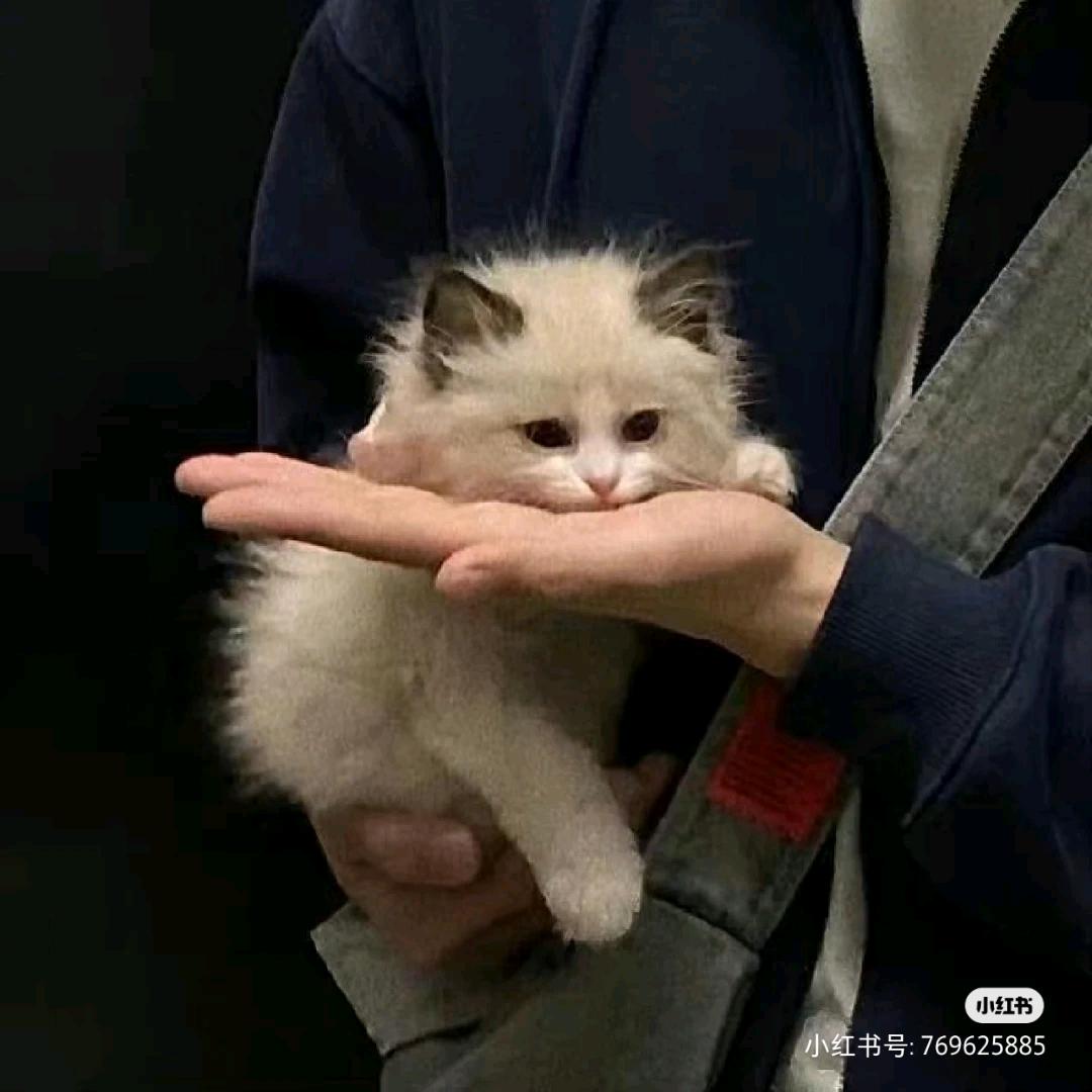k.