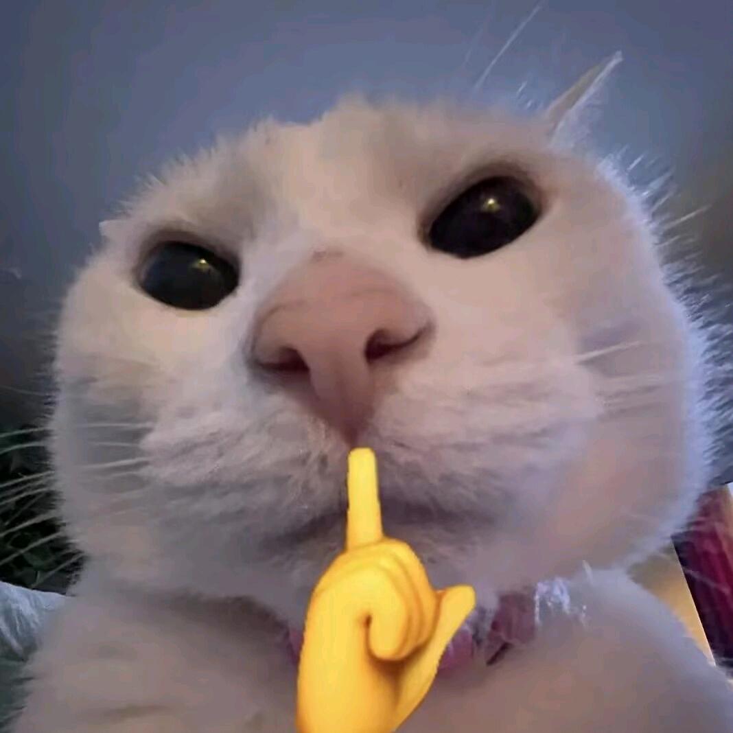 崩巴拉卡