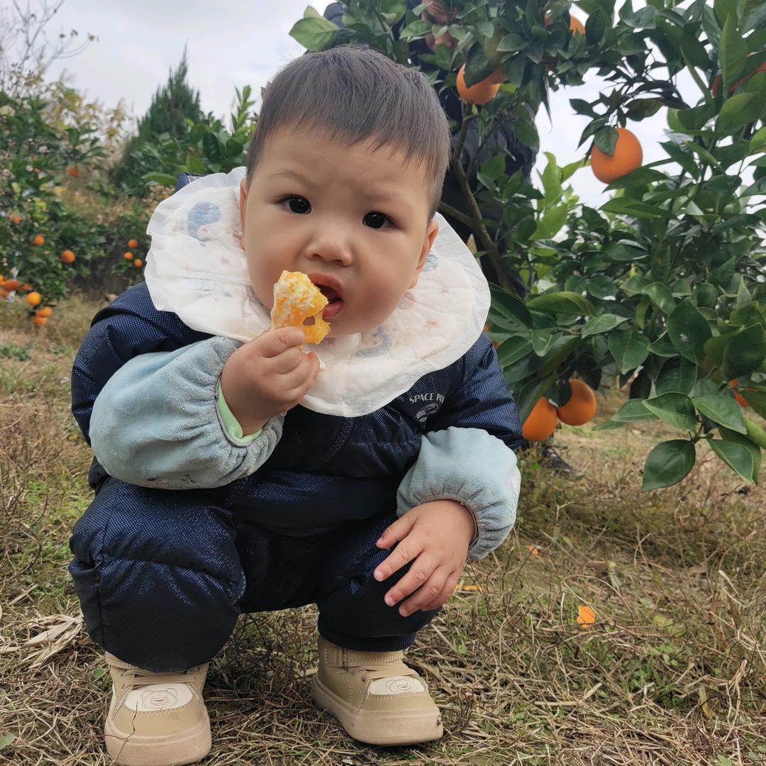 §萍儿