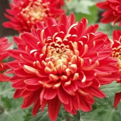 宏光轩纯手工宣纸