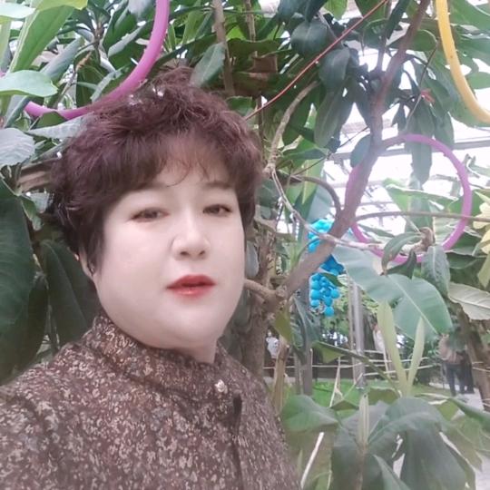 晨晨好物178