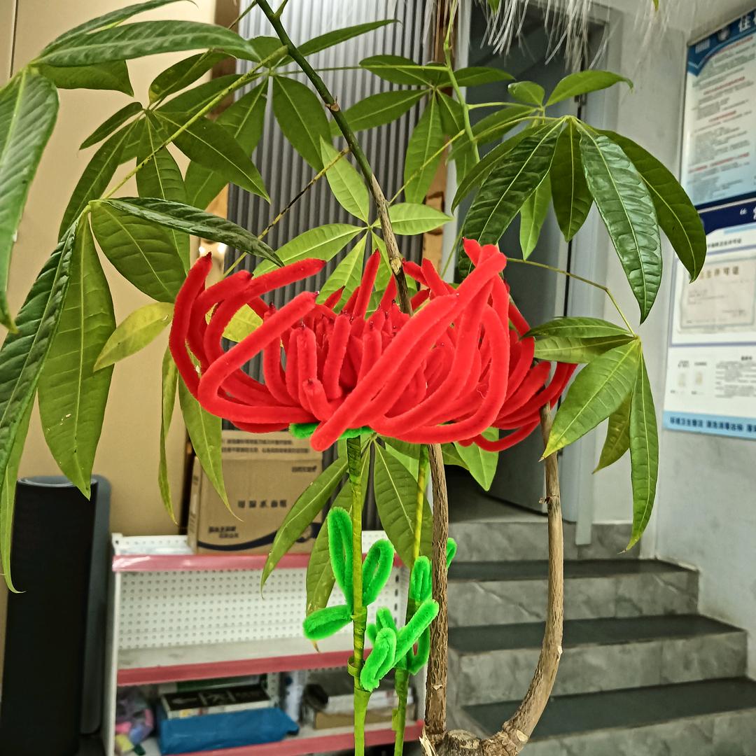 忘掉过去