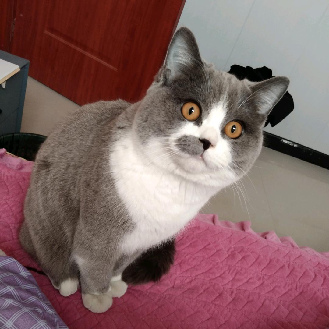 一生爱你