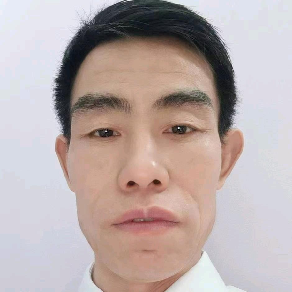 刘必平
