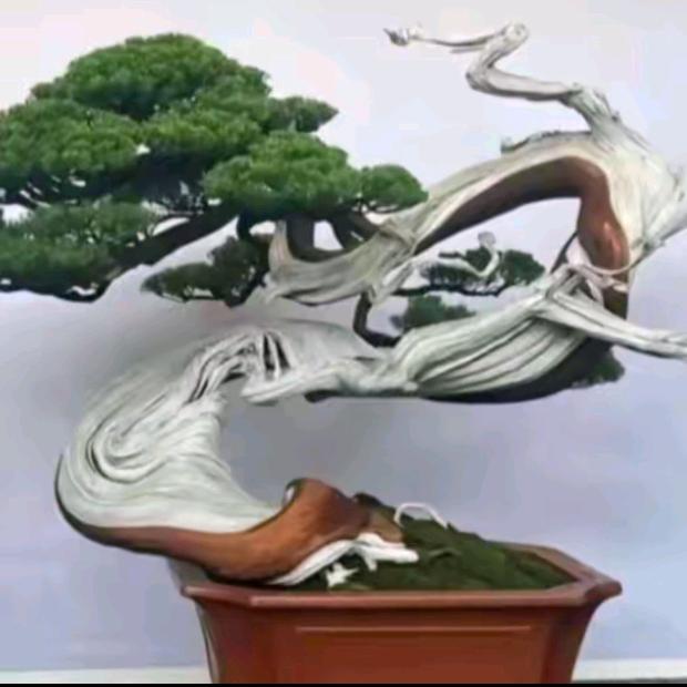 艺术人生