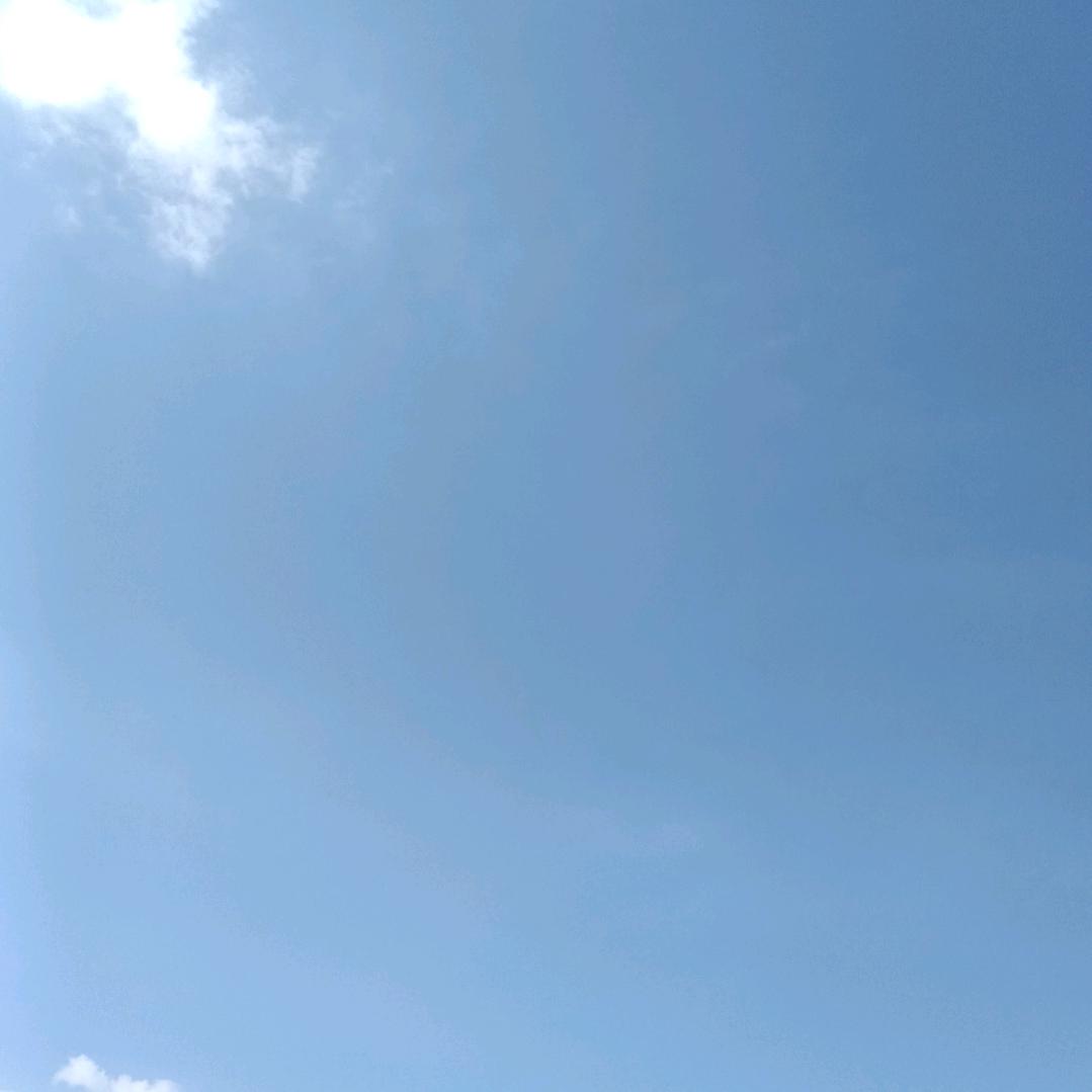 余蓉菲