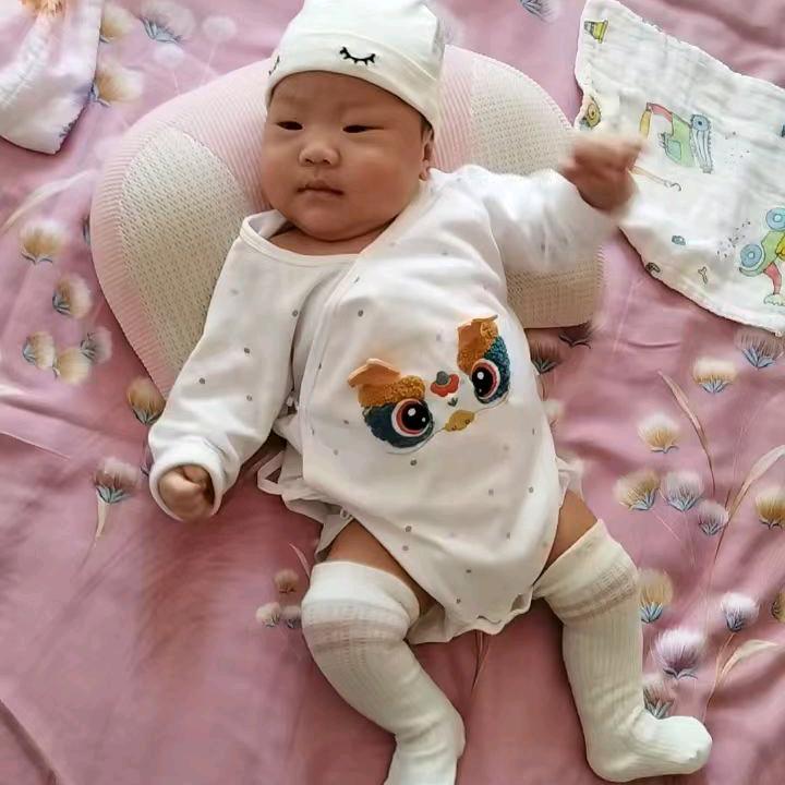 小杨桃成长记