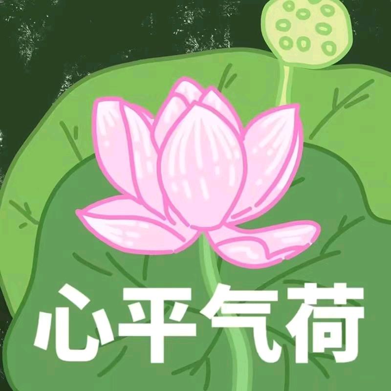 开心市民陈陈