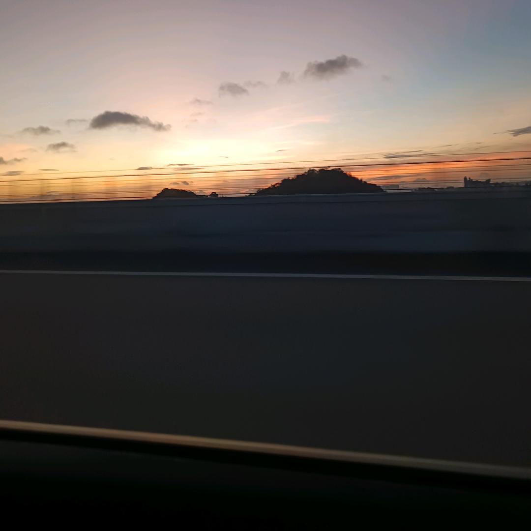 go 去云南看海鸥
