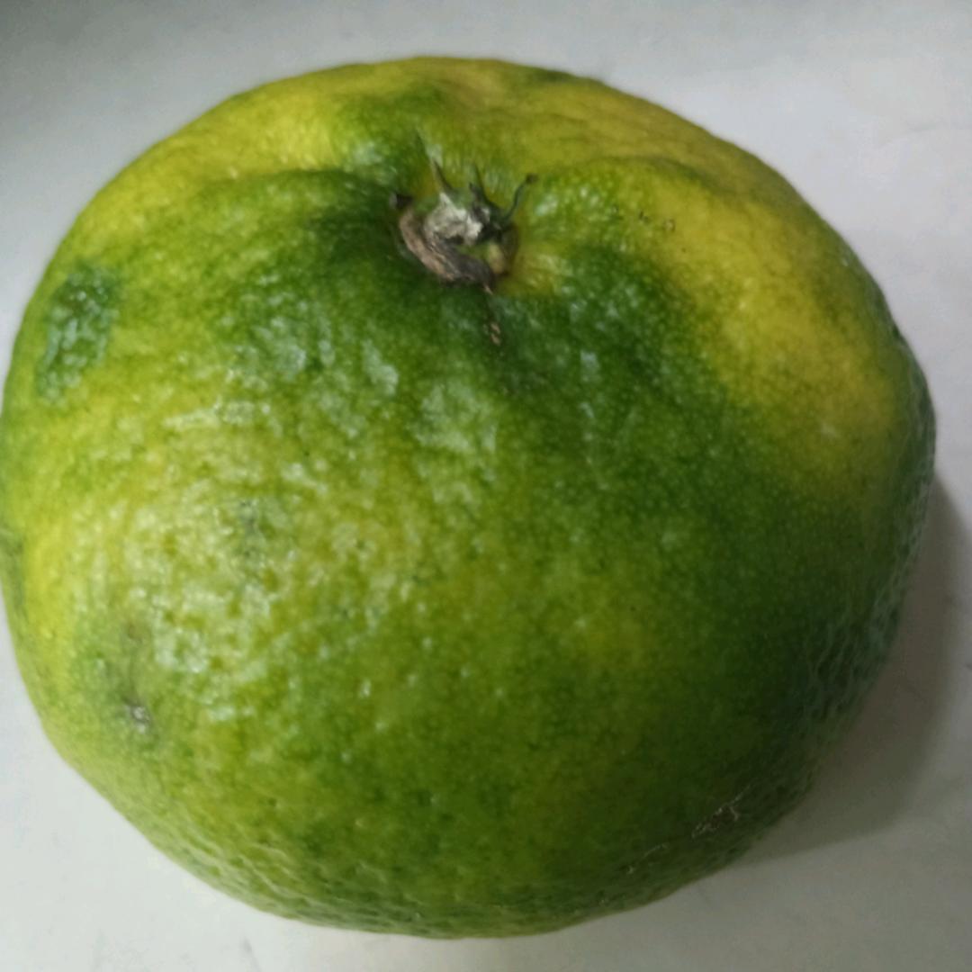 暖阳时光之薄荷甜❤️❤️