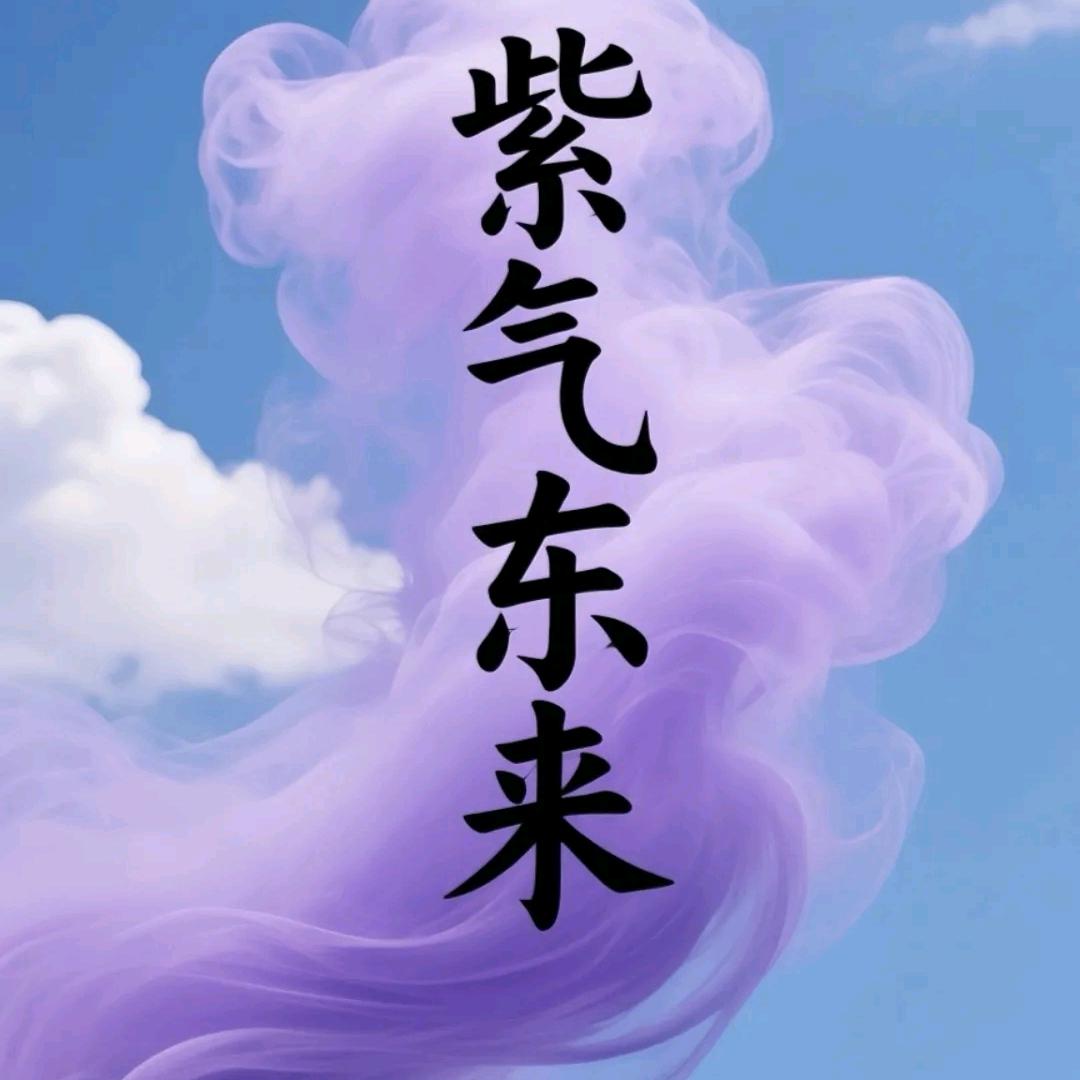 房产咨询小沈