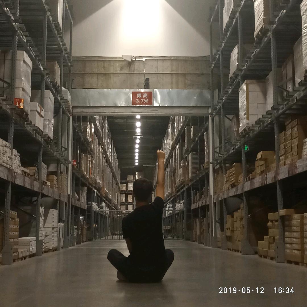 乱世一只鹅丶