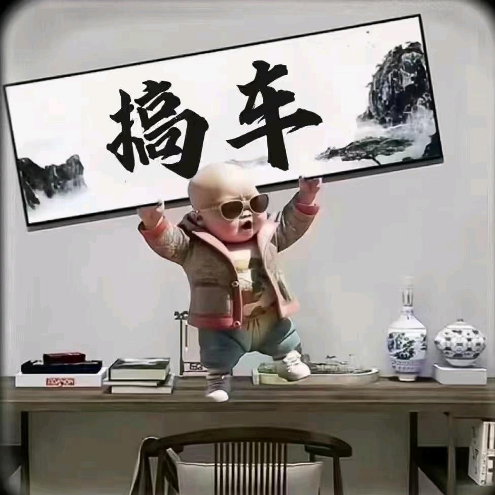 林坦严选二手车：全村的希望