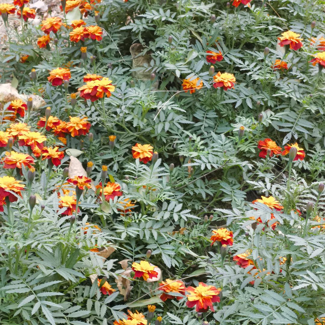 阿醒的成长笔记