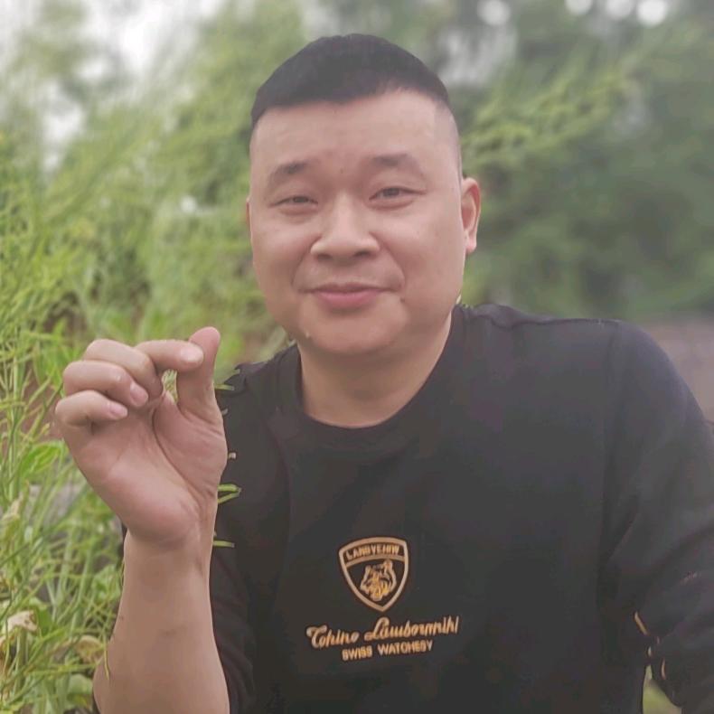 名山毛毛虫