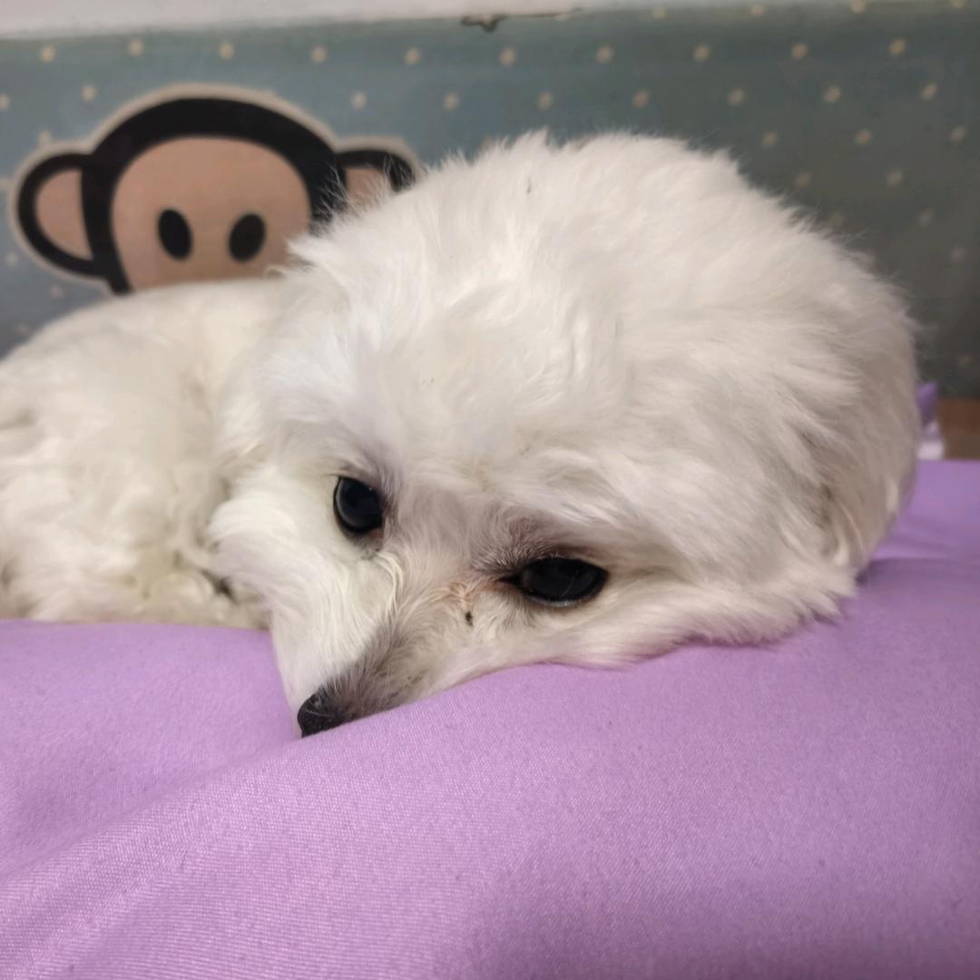 不知道起什么好