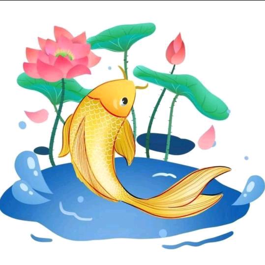 哈喽