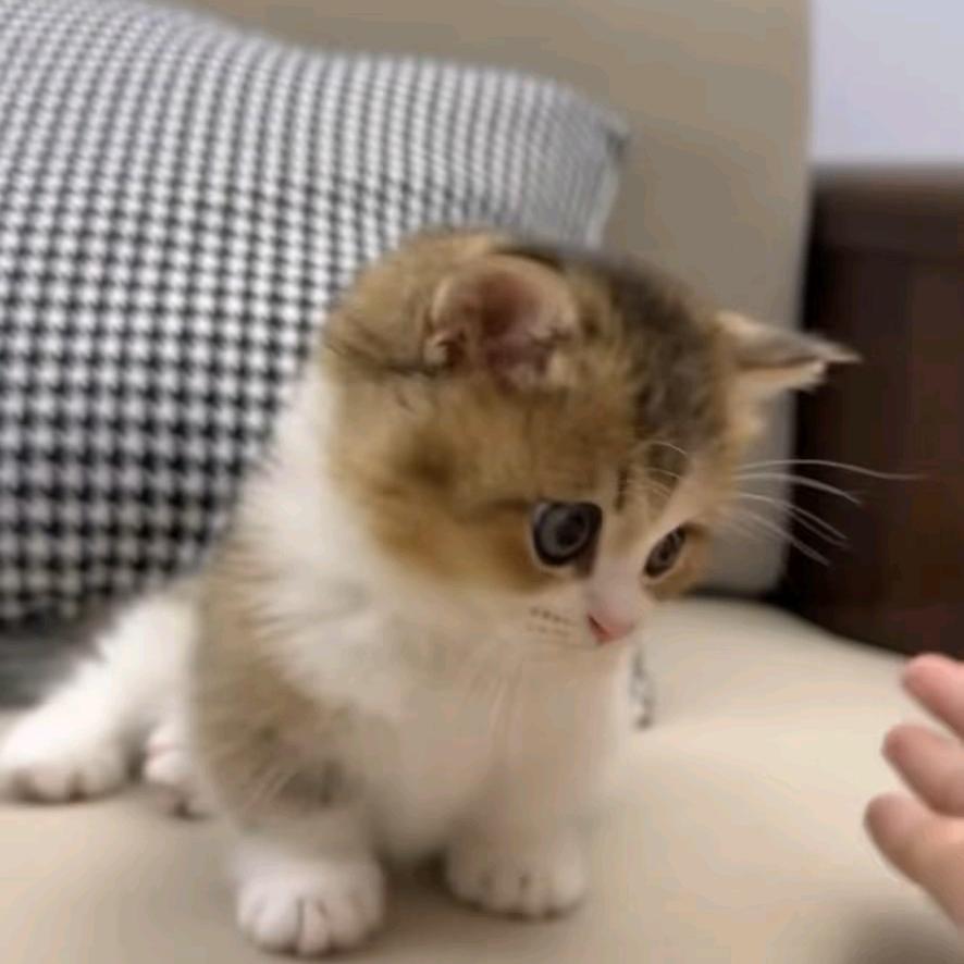 用户857566845544144